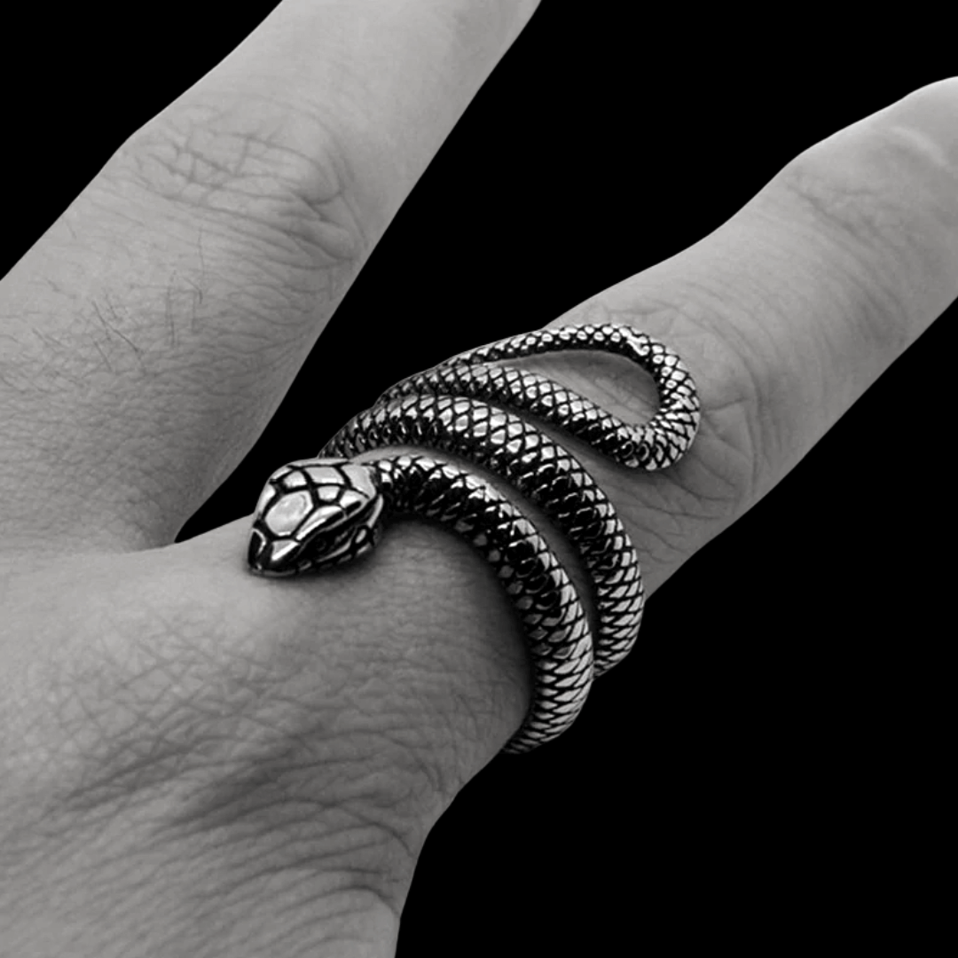 Snake Stainless Steel Shiny Finish Ring